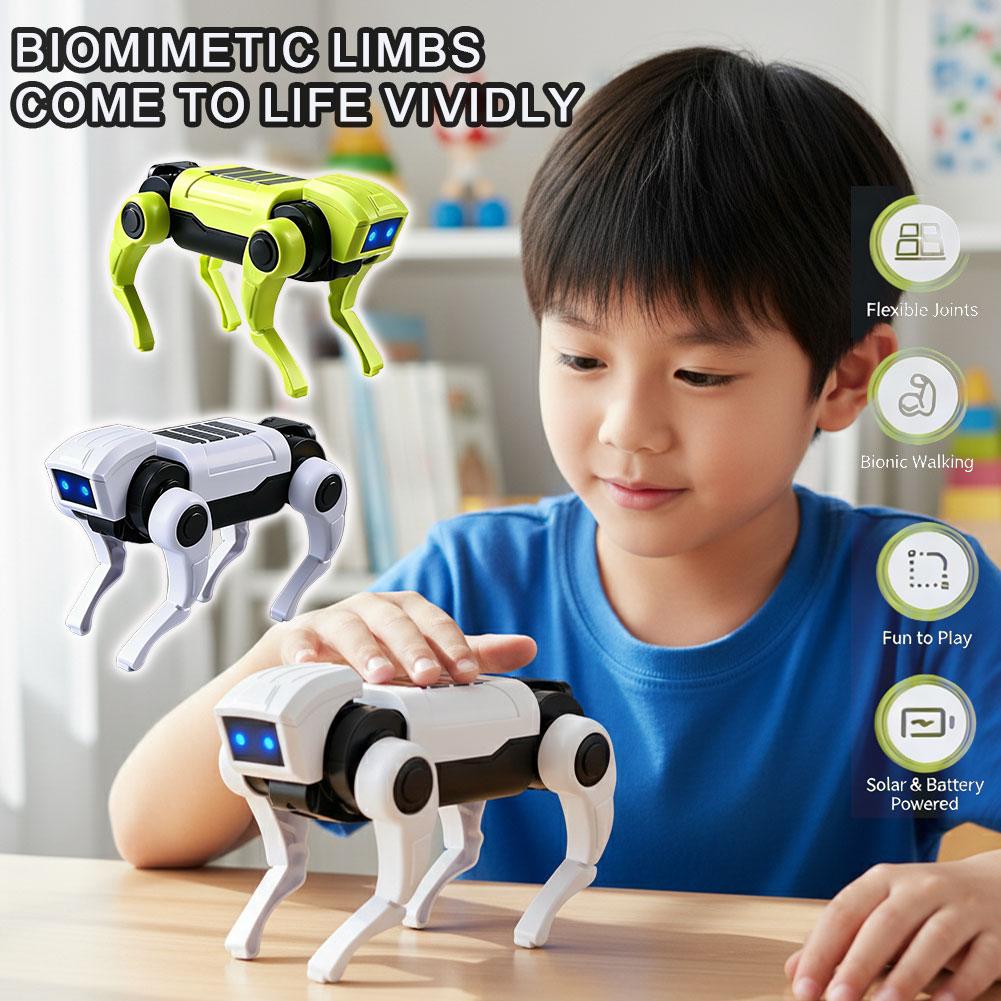 Science Diy Model - Kit Robot Cane Telecomandato Fai-da-Te, Modello