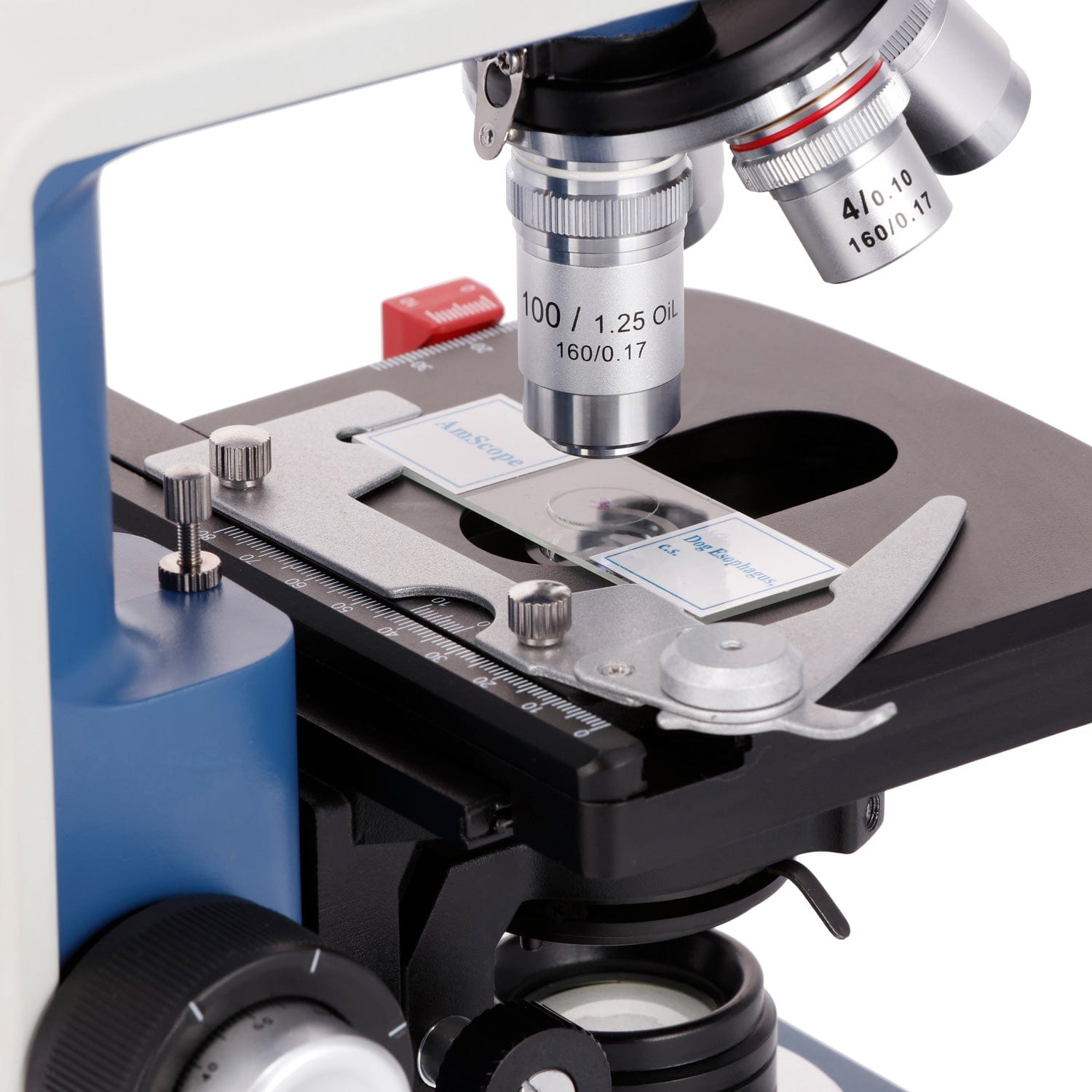 Microscope Compound 40X - Microscopio Composto Binoculare per Studenti AmScope