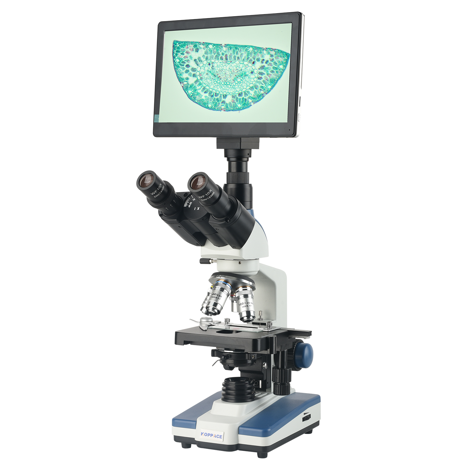 Microscope Compound 40X - KOPPACE 40X-2500X Microscopio da laboratorio composto