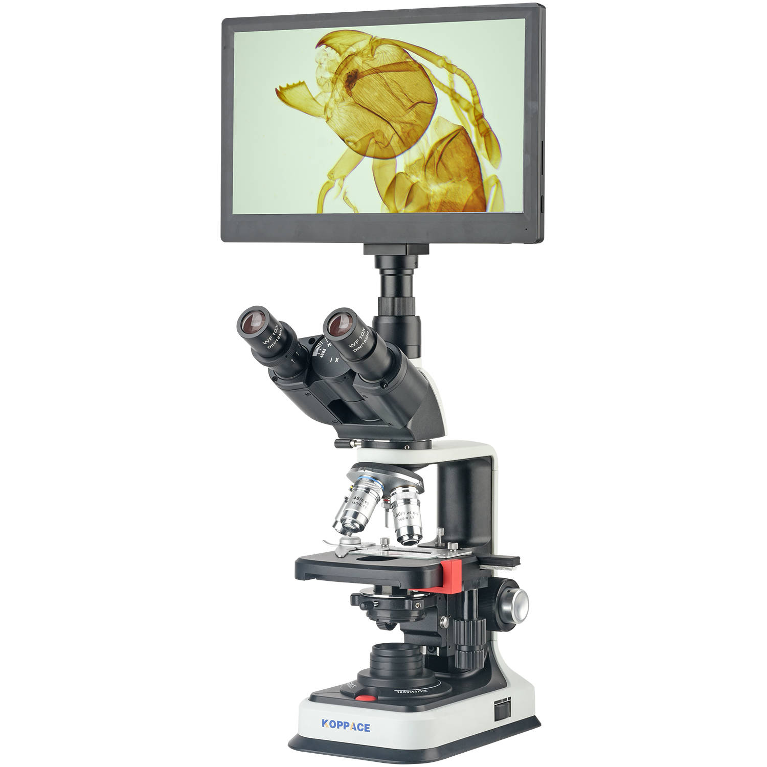 Microscope Compound 40X - Microscopio Elettronico Composto da Laboratorio KOPPACE