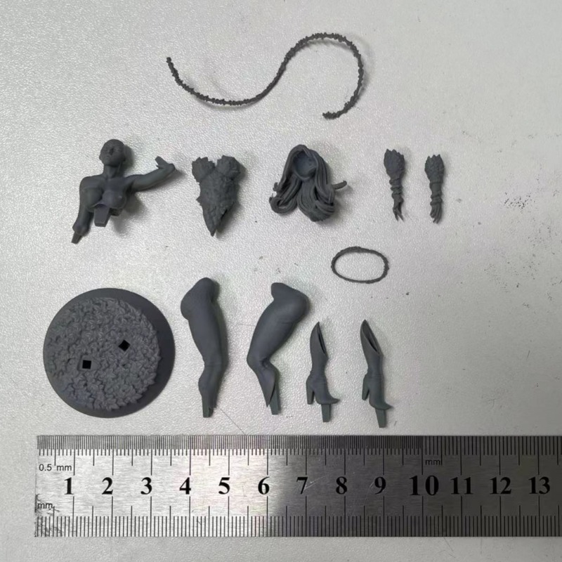 1/24 scala foresta regina fant - Science Hobby Kit recensione e prezzo