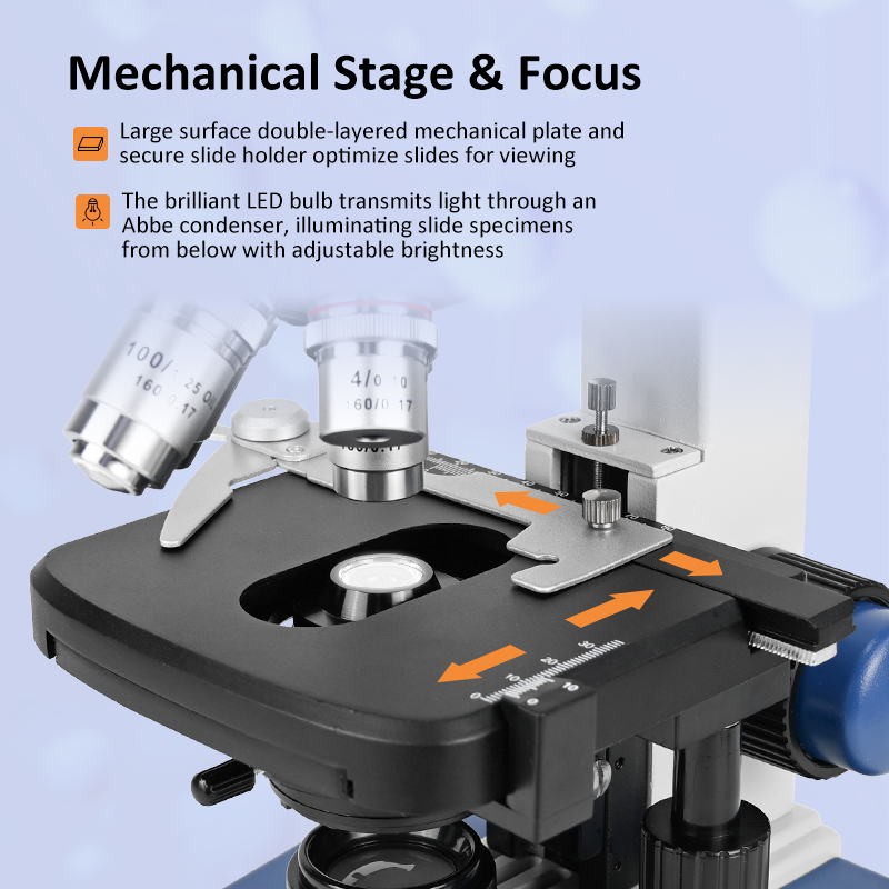 Microscopio Biologico Professi - Microscope Compound 40X recensione e prezzo
