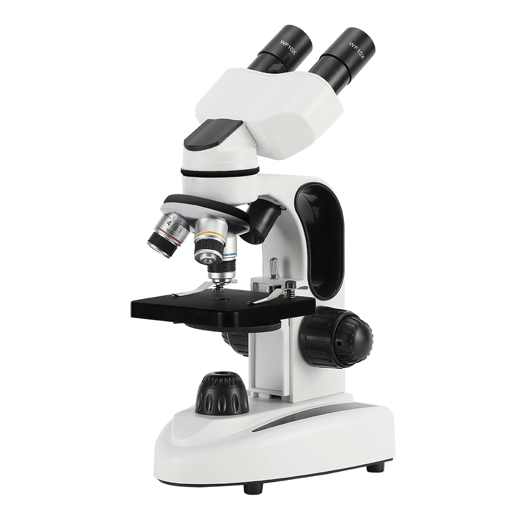 Microscopio Binoculare Compost - Microscope Compound 40X recensione e prezzo