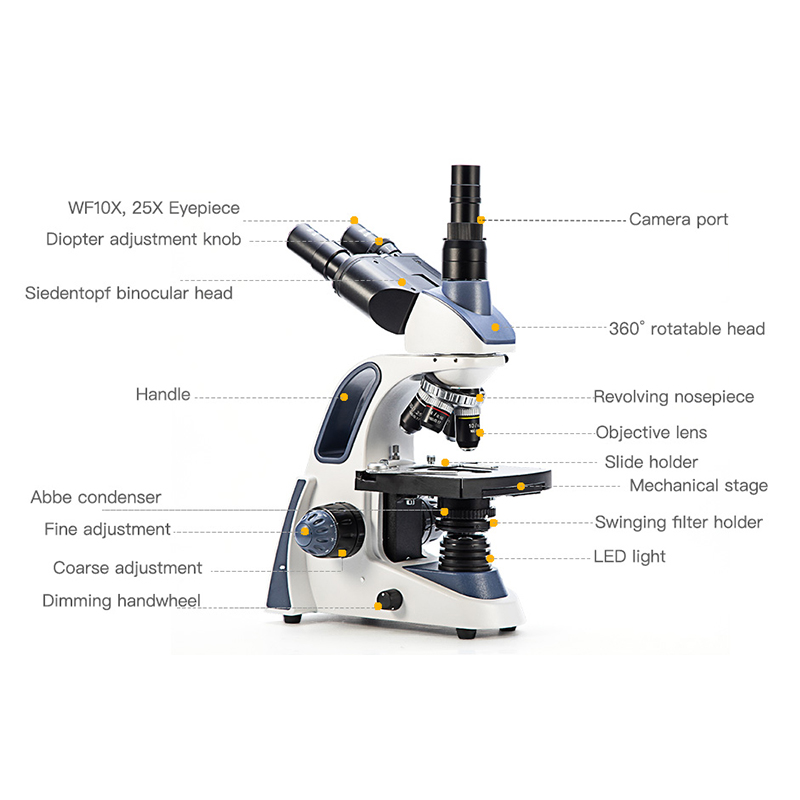 Microscopio Trinoculare Compos - Microscope Compound 40X recensione e prezzo
