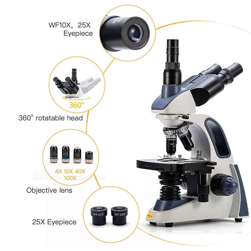 Microscopio Trinoculare Compos - Microscope Compound 40X recensione e prezzo