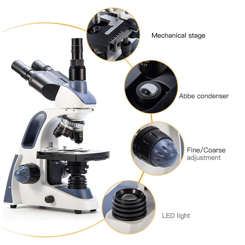 Microscopio Trinoculare Compos - Microscope Compound 40X recensione e prezzo