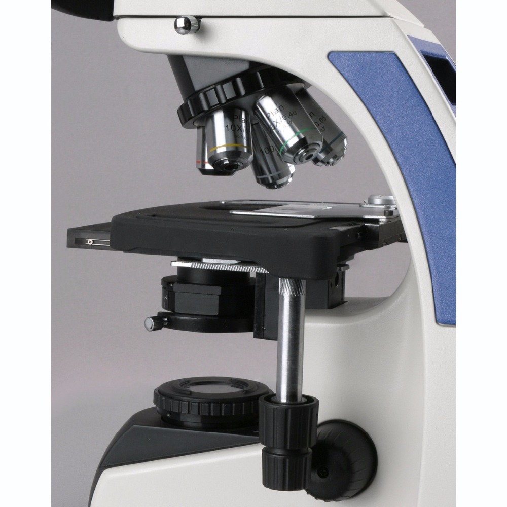 Microscopio Composto Trinocula - Microscope Compound 40X recensione e prezzo