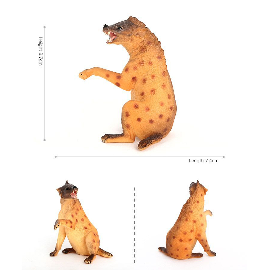 Iena della fauna selvatica in  - Science Toys Diy recensione e prezzo